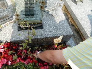 LOURDES AOUT 2011   (5)